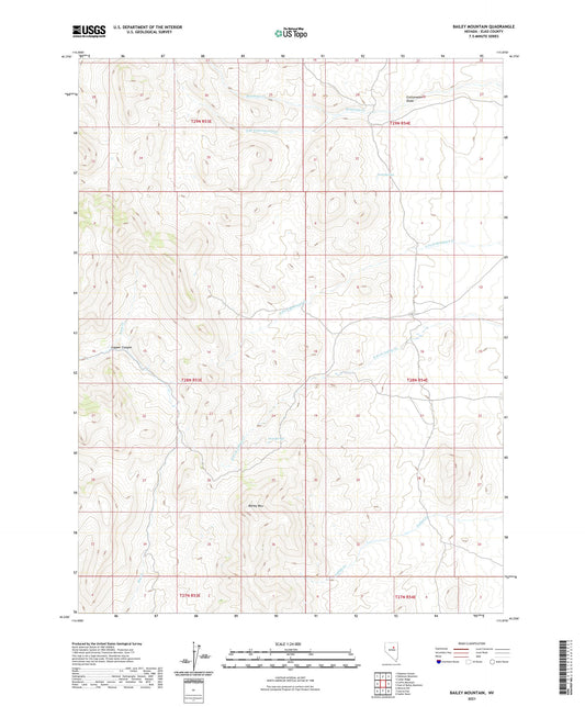 Bailey Mountain Nevada US Topo Map Image