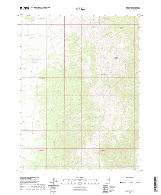 Baldy Peak Nevada US Topo Map Image