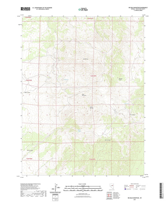 Big Bald Mountain Nevada US Topo Map Image