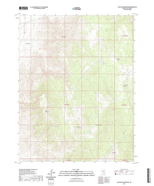 Blue Eagle Mountain Nevada US Topo Map Image