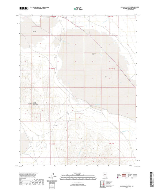 Bunejug Mountains Nevada US Topo Map Image