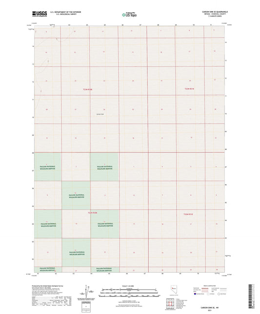 Carson Sink SE Nevada US Topo Map Image
