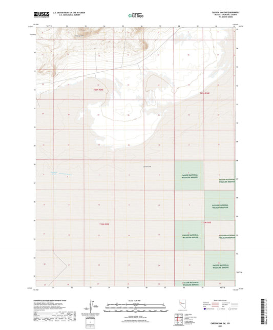 Carson Sink SW Nevada US Topo Map Image