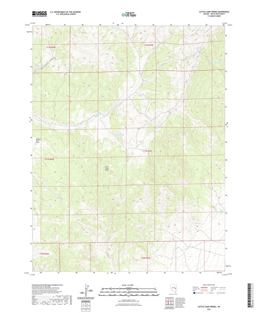 Cattle Camp Spring Nevada US Topo Map Image
