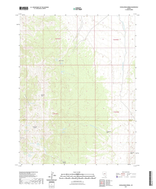 Cockalorum Spring Nevada US Topo Map Image