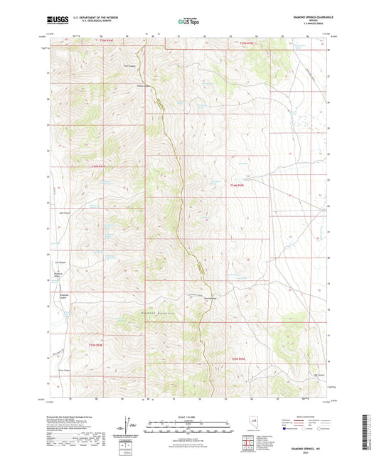 Diamond Springs Nevada US Topo Map Image