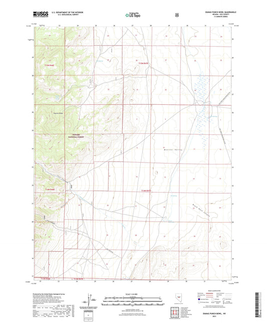Dianas Punch Bowl Nevada US Topo Map Image