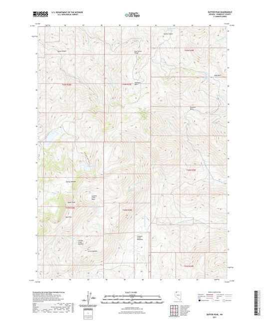 Duffer Peak Nevada US Topo Map Image