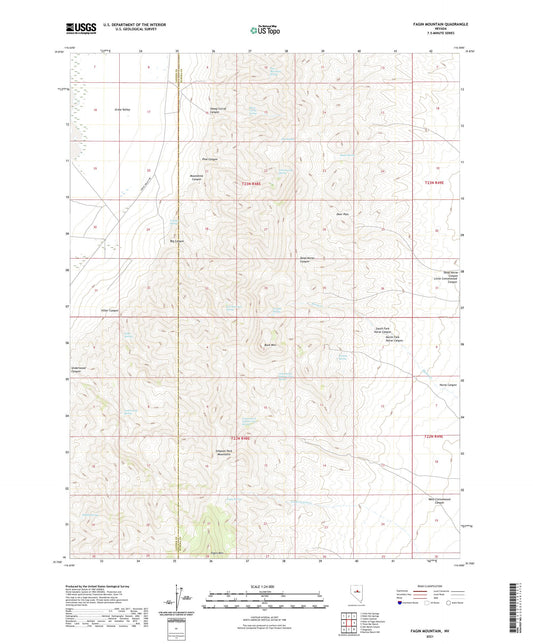 Fagin Mountain Nevada US Topo Map Image