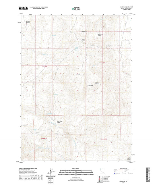 Leadville Nevada US Topo Map Image