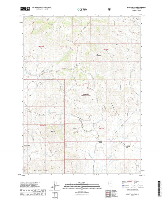 Merritt Mountain Nevada US Topo Map Image