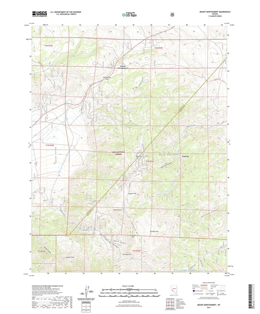 Mount Montgomery Nevada US Topo Map Image