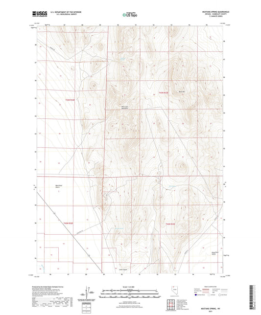 Mustang Spring Nevada US Topo Map Image