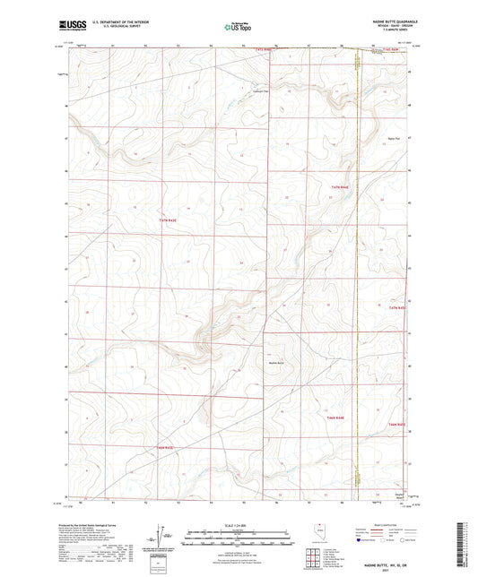 Nadine Butte Nevada US Topo Map Image