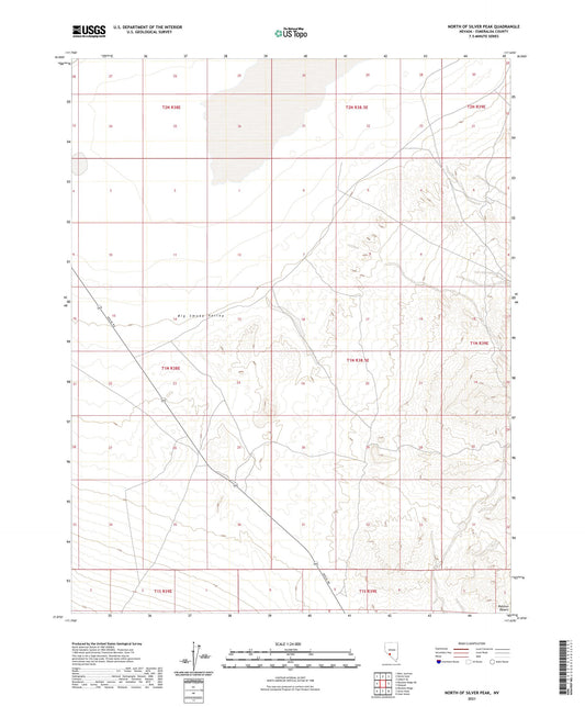 North of Silver Peak Nevada US Topo Map Image