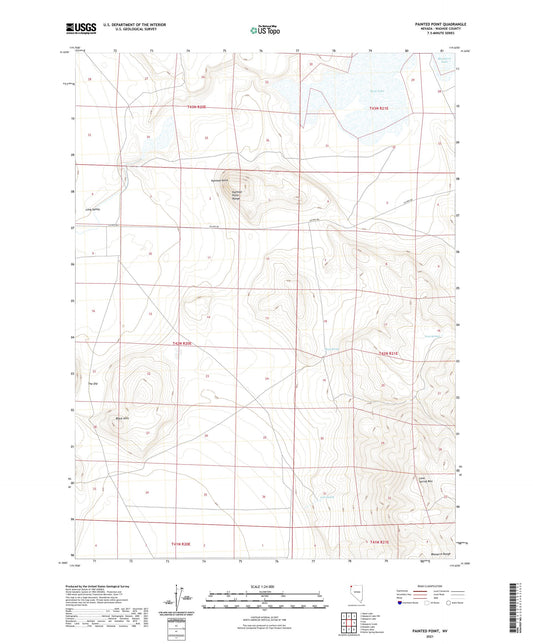 Painted Point Nevada US Topo Map Image