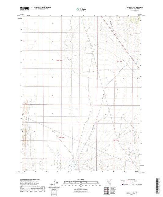 Palomino Well Nevada US Topo Map Image