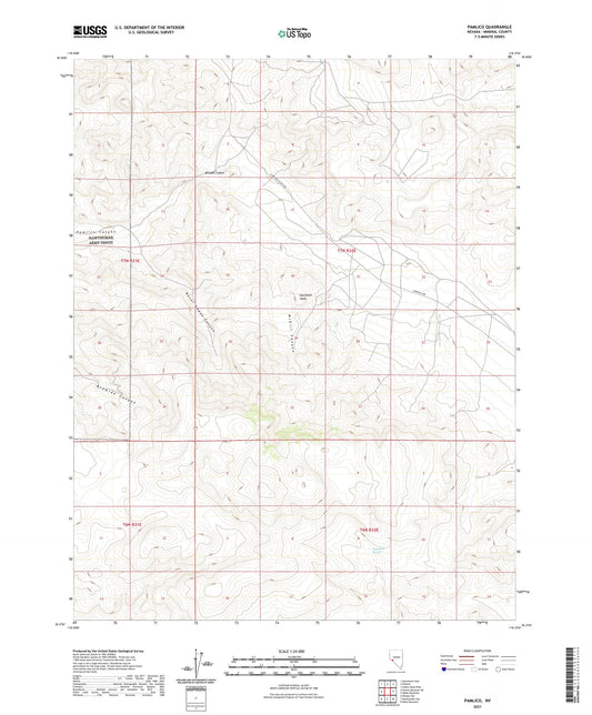Pamlico Nevada US Topo Map Image