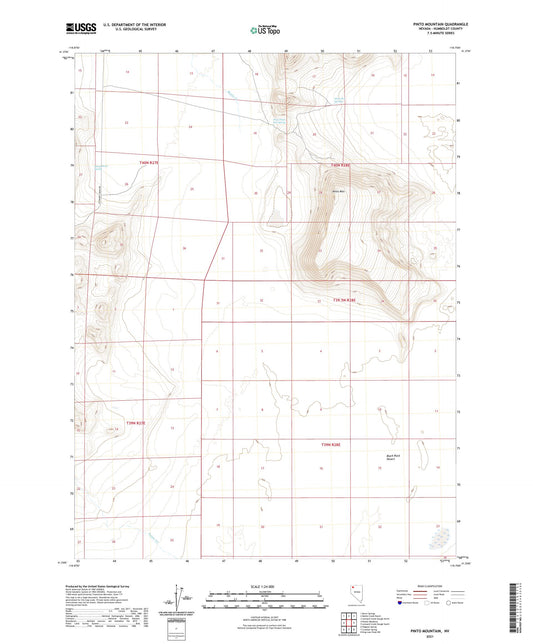 Pinto Mountain Nevada US Topo Map Image
