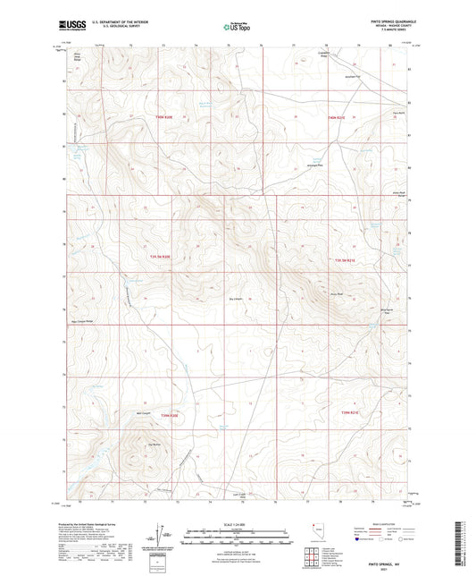 Pinto Springs Nevada US Topo Map Image