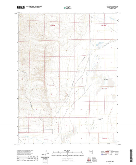 Salt Marsh Nevada US Topo Map Image