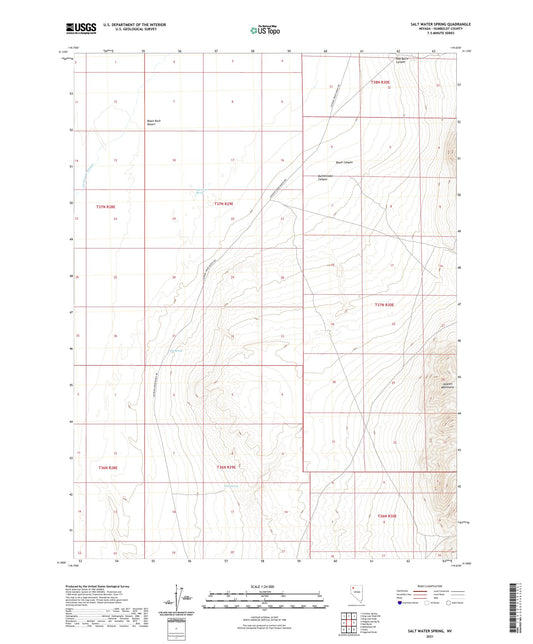 Salt Water Spring Nevada US Topo Map Image