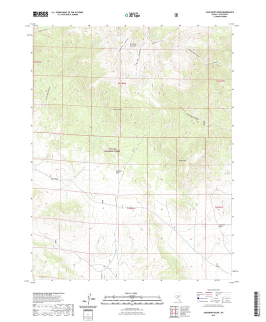 Saulsbury Basin Nevada US Topo Map Image