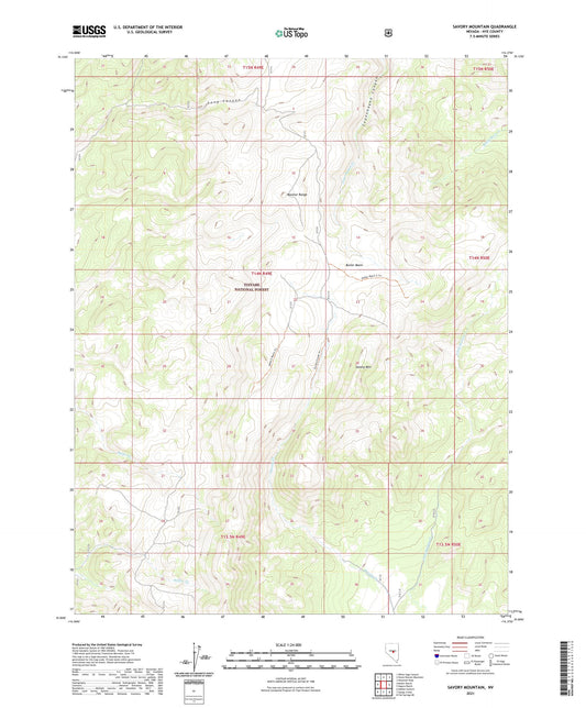 Savory Mountain Nevada US Topo Map Image