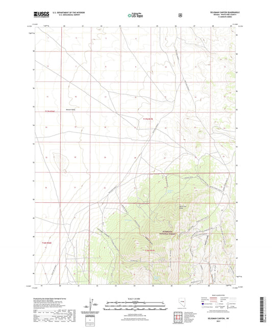 Seligman Canyon Nevada US Topo Map Image