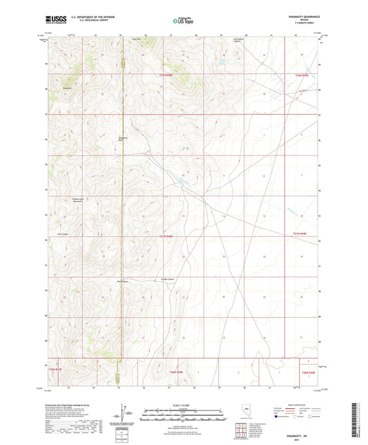Shagnasty Nevada US Topo Map Image