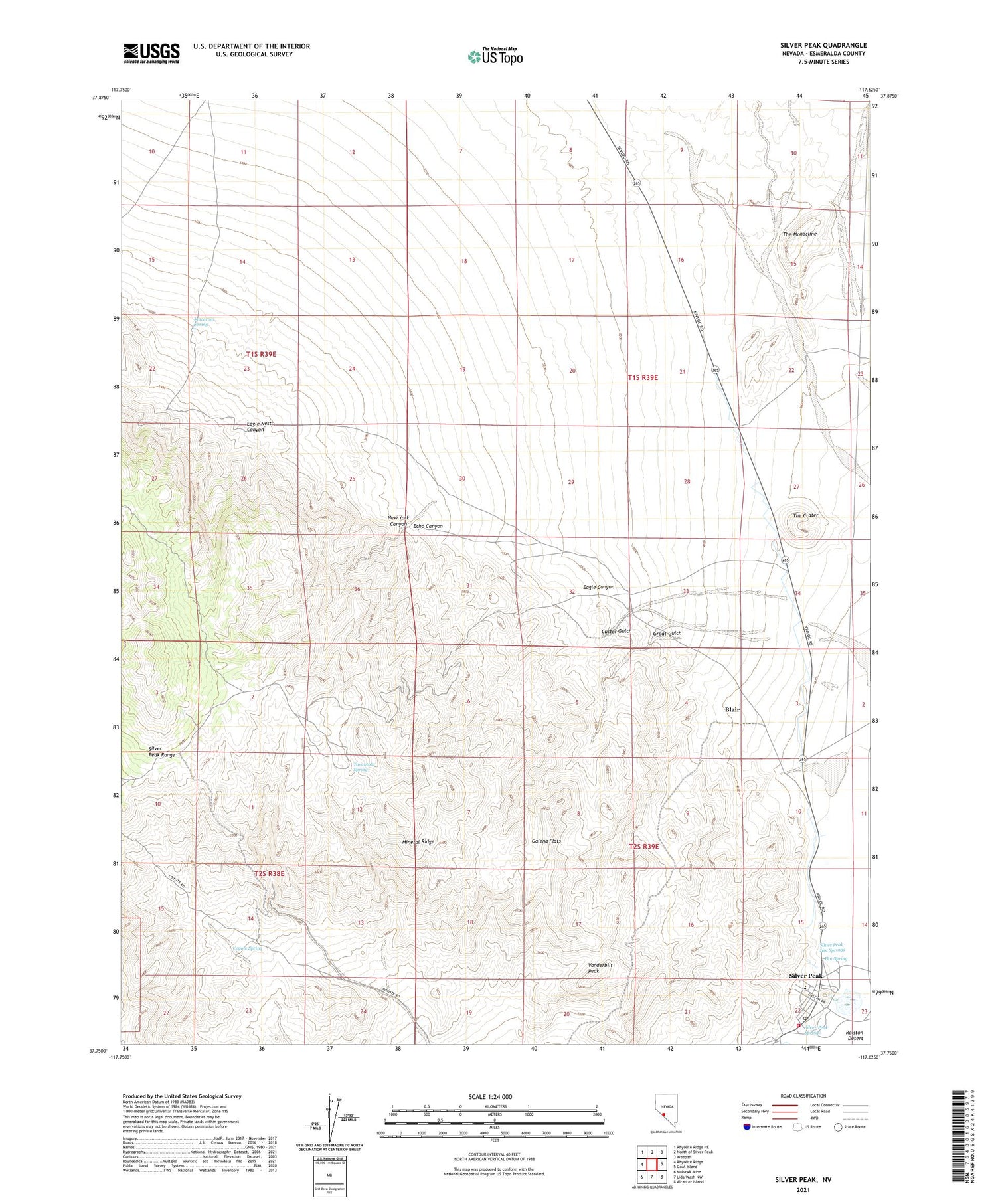 Silver Peak Nevada US Topo Map Image