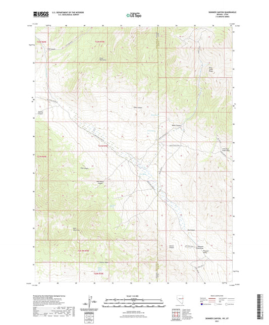 Skinner Canyon Nevada US Topo Map Image