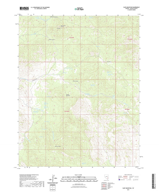 Slidy Mountain Nevada US Topo Map Image