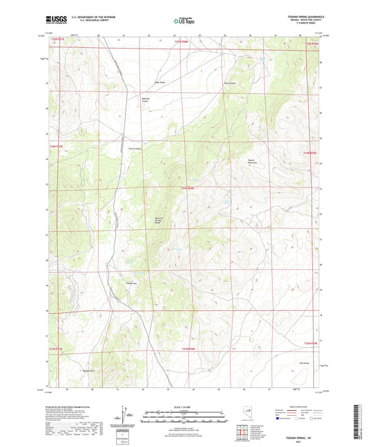 Tognini Spring Nevada US Topo Map Image