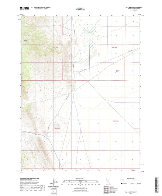 Tule Dam Spring Nevada US Topo Map Image