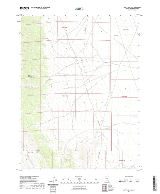 White Sage Well Nevada US Topo Map Image