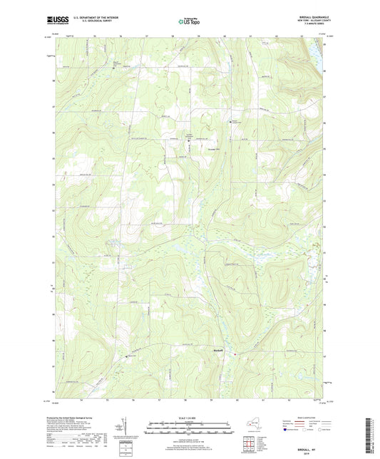 Birdsall New York US Topo Map Image