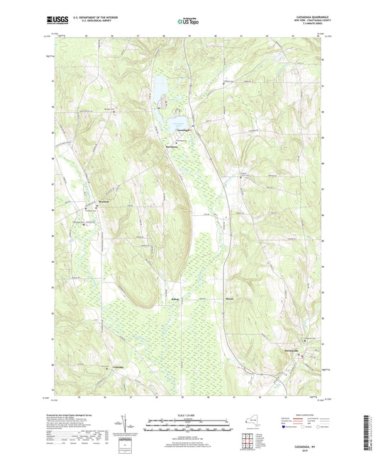 Cassadaga New York US Topo Map Image