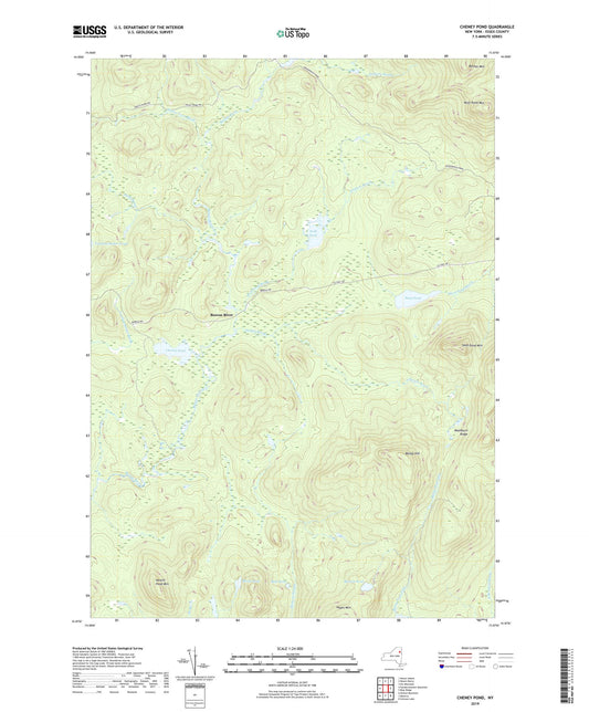 Cheney Pond New York US Topo Map Image