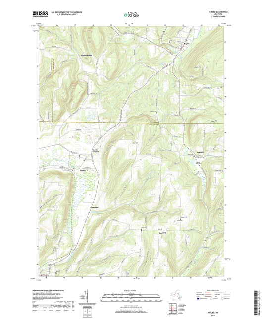 Naples New York US Topo Map Image