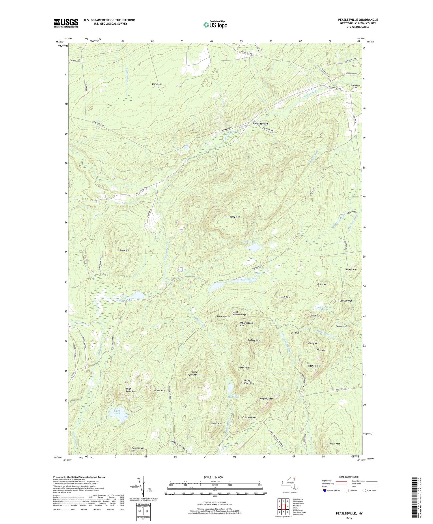 Peasleeville New York US Topo Map Image