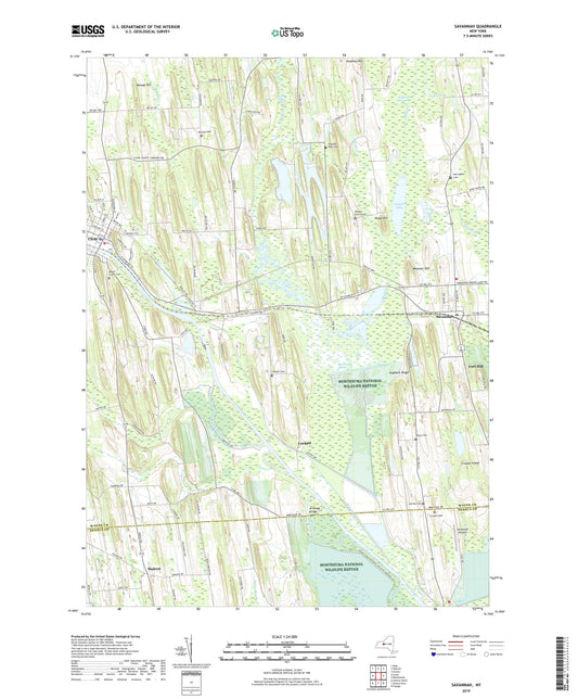 Savannah New York US Topo Map Image