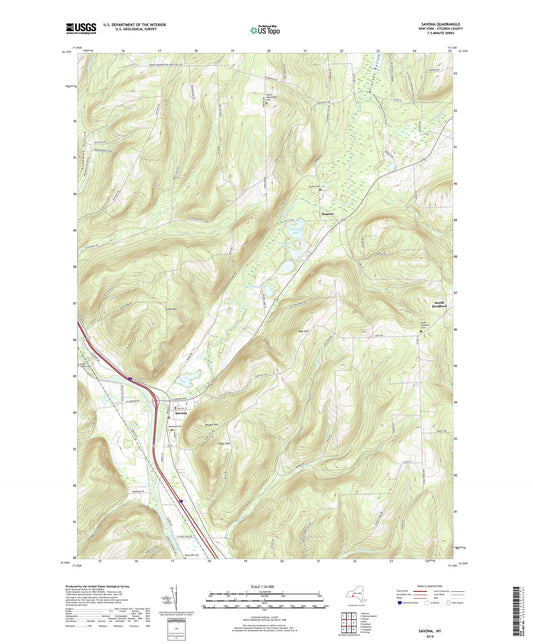Savona New York US Topo Map Image
