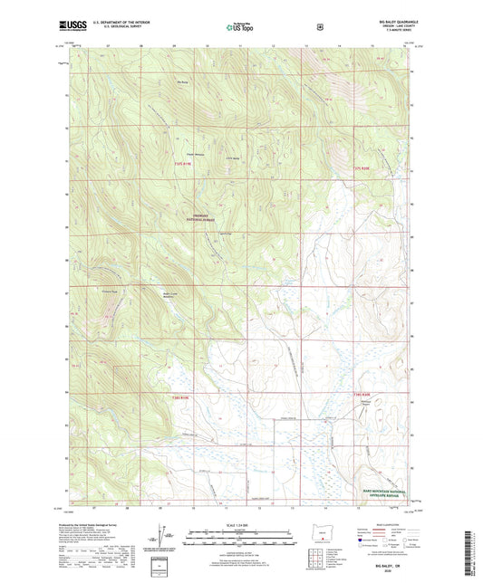 Big Baldy Oregon US Topo Map Image