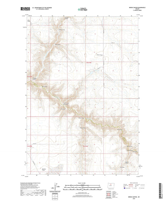 Bronx Canyon Oregon US Topo Map Image