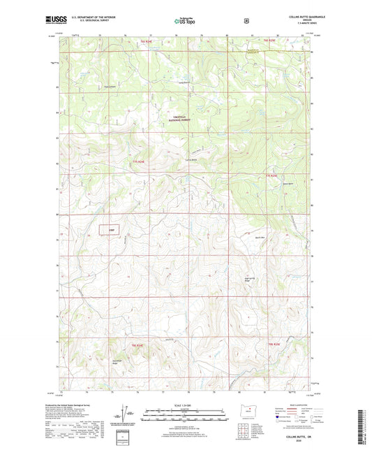 Collins Butte Oregon US Topo Map Image