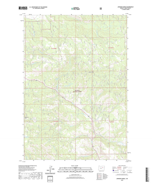 Johnson Saddle Oregon US Topo Map Image