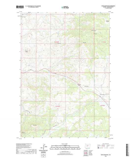 Keyes Mountain Oregon US Topo Map Image