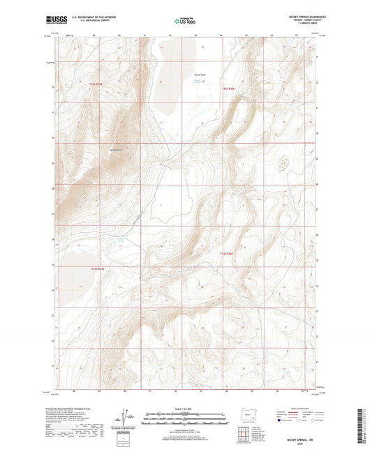 Mickey Springs Oregon US Topo Map Image