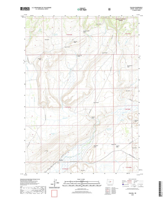 Paulina Oregon US Topo Map Image